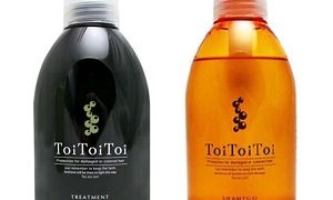 送料無料】これは凄い！新トイトイトーイシャンプー登場